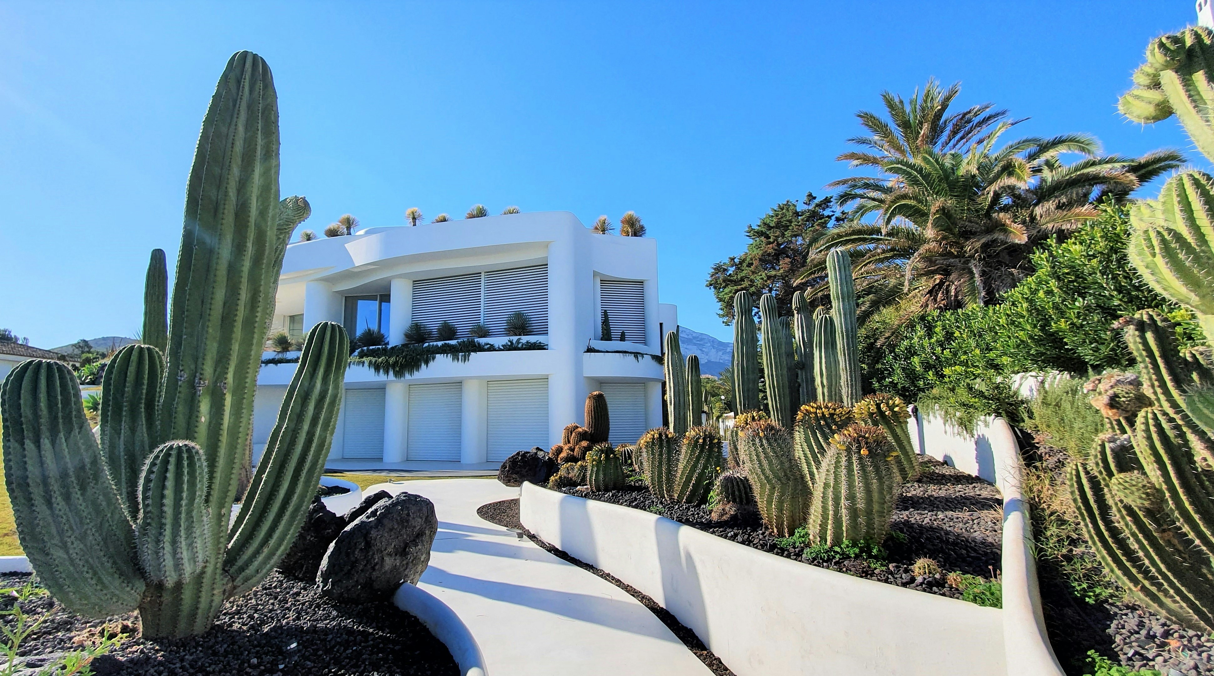 Landscape & Outdoor Features